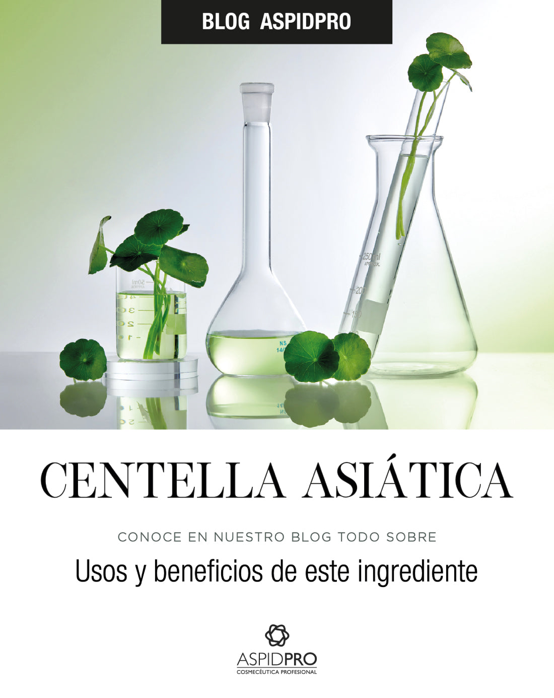 Centella Asiática